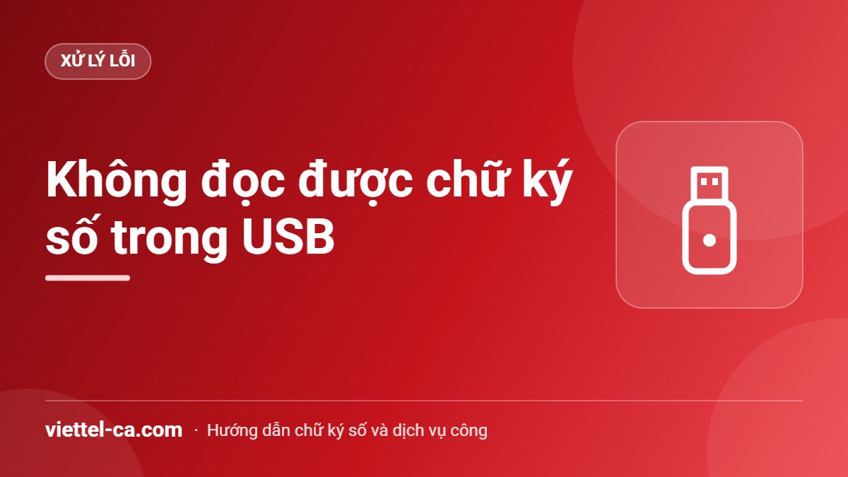 Không đọc được chữ ký số trong USB Sửa lỗi không đọc được chữ ký số trong USB trên trang đăng ký của Hải quan